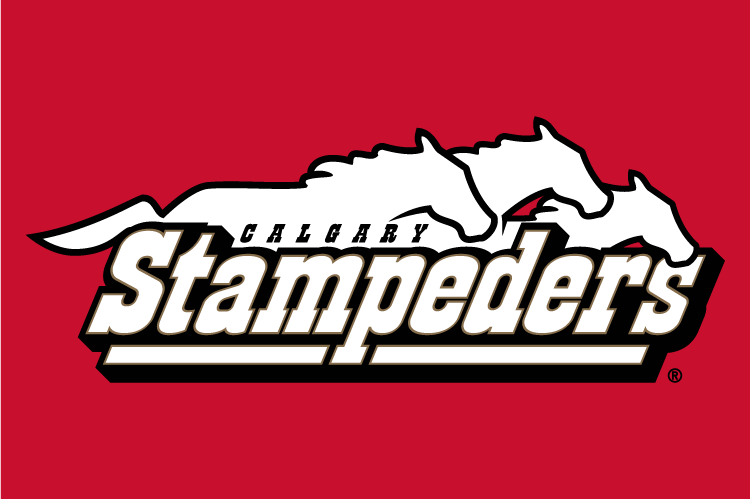 calgary stampeders 2000-2011 wordmark logo v4 iron on transfers for T-shirts